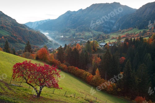 Preview: beautiful view of the valley with fog