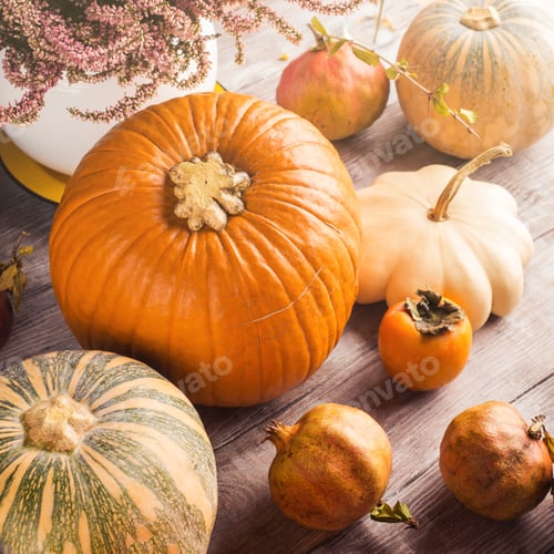 Preview: Autumn thanksgiving still life with pumpkins