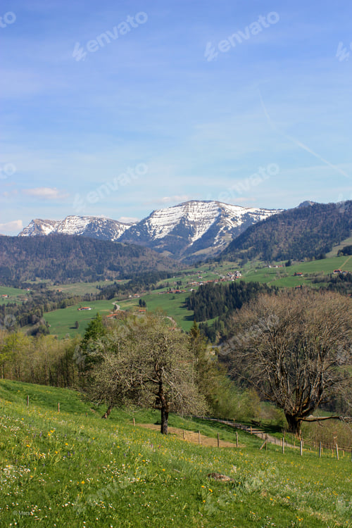 Preview: a green hillside with lots of trees and mountains in the background