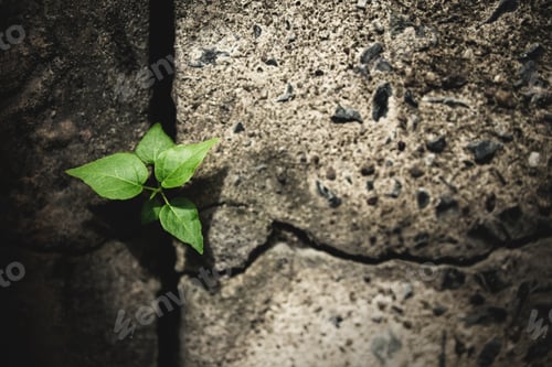 Preview: Recovery and Challenge in Life or Business Concept.Economic Crisis Symbol