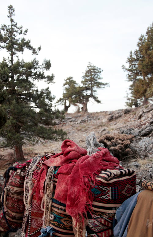 Preview: Handmade wool sacks used by nomads.