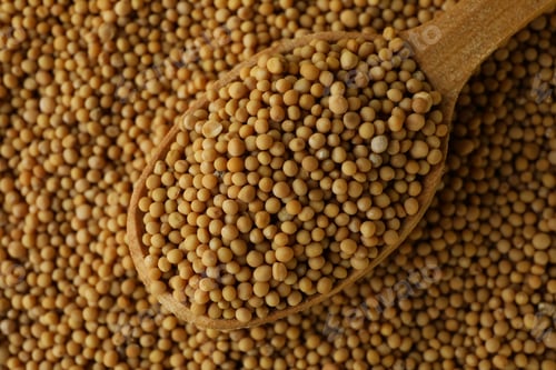 Preview: Wooden spoon and mustard seeds, close up