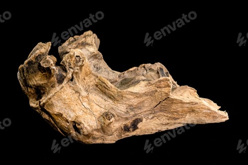 Preview: Driftwood Fragment, Weathered Wood, Natural Wood Texture