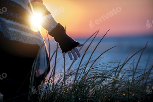 Preview: Shallow focus shot of a female running her hand through the grass in the wind