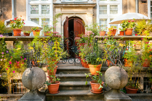 Preview: Cozy city garden in a narrow street next to the tenement house