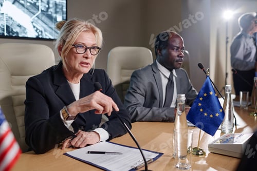 Preview: Businesswoman speaking her speech at conference