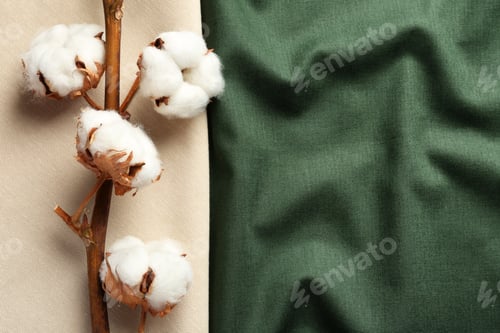 Preview: Branch with cotton flowers on fabric, top view. Space for text