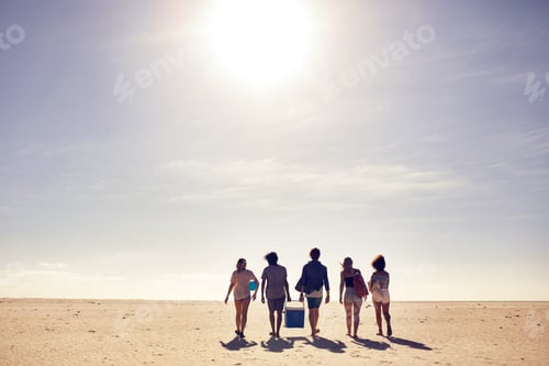 Preview: Group of friends on beach vacation