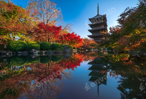 Preview: The wooden pagoda of Toji Temple with beautiful maple leaves, Kyoto, Japan