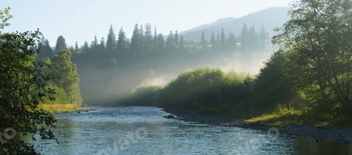 Preview: Panoramic view of forest meadow river in morning mist fog. Beautiful of nature