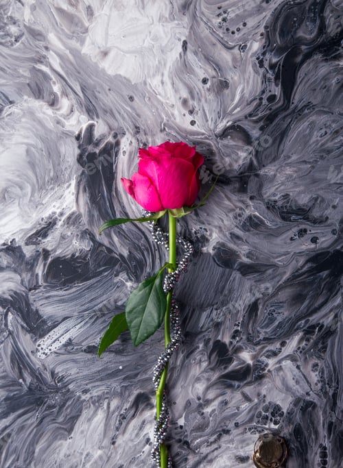Preview: Single pink rose on monochrome fluid art. Delicate floral beauty meets dramatic abstract textures