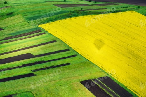 Preview: View on the field from the air. Agricultural landscape at the summer time.