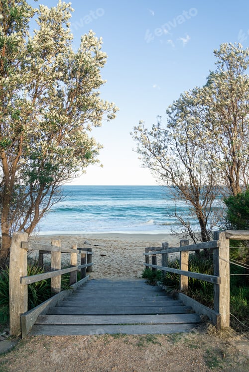 Preview: Sea Landscape in a Sunny Day in Australia.Entrance of a Beach Against a Clear Sky.Vertical Image