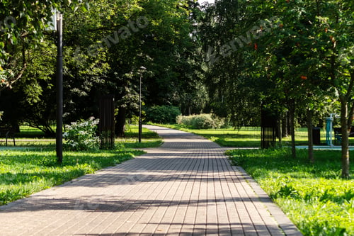 Preview: Park pathway with tree shadows leading into green park