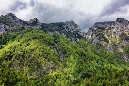 Preview: the mountain top with many trees on it under the cloudy sky