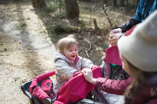 Preview: family walk in spring forest. happy baby sitting in stroller. sun warms.