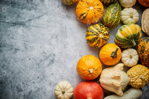 Preview: Beautiful colorful mini pumpkins on grac concrete background, holiday or autumn decoration