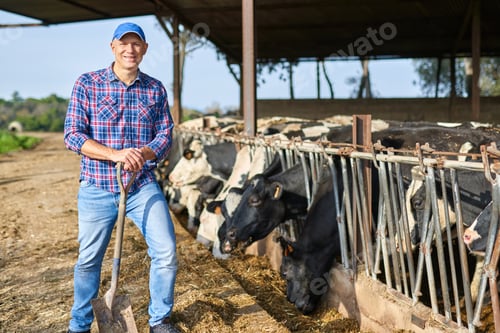 Preview: Portrait Of A Man On Livestock Ranches