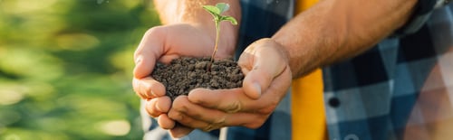 Preview: cropped view of farmer holding ground with young plant in cupped hands, website header