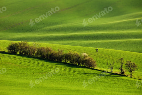 Preview: Beautiful green hills in Moravia, the Czech Republic during daylight