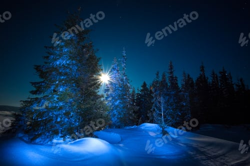 Preview: Beautiful trees grow among snow-covered snowdrifts
