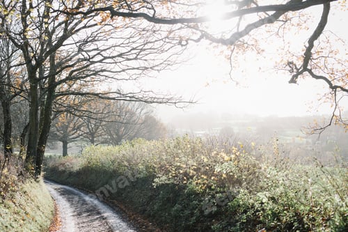 Preview: A country lane in winter.