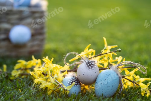 Preview: Easter eggs with spring blossom in green grass.