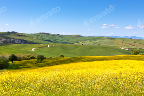 Preview: Tuscan Val d'Orcia view