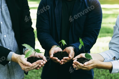 Preview: Concept of the Environment World Earth Day. Business hands holding green plants