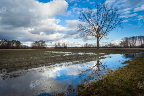 Preview: Water in the field and clouds in the sky