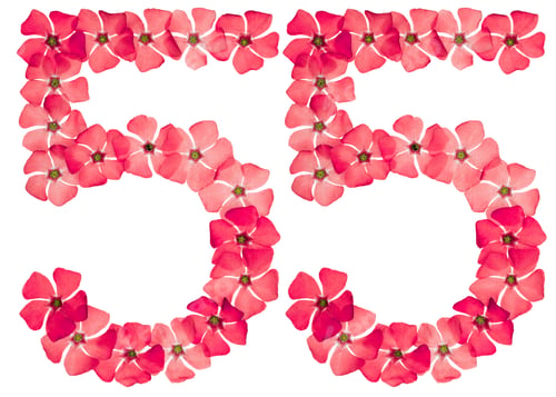 Preview: Numeral 55, fifty five, from natural red flowers of periwinkle, isolated on white background