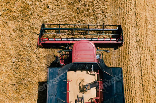 Preview: Aerial view 4k resolution Modern combine harvester collects ripe wheat.