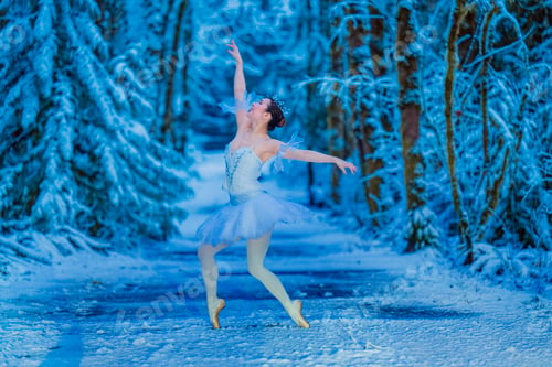 Preview: Ballet dancer in a snow-covered forest wearing a white tutu and performing a graceful pose. WA, USA