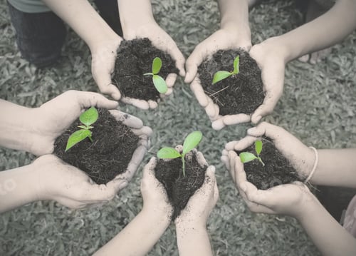 Preview: Adult and children holding young plant over green grass