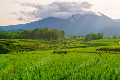 Preview: Beautiful morning view indonesia panorama landscape