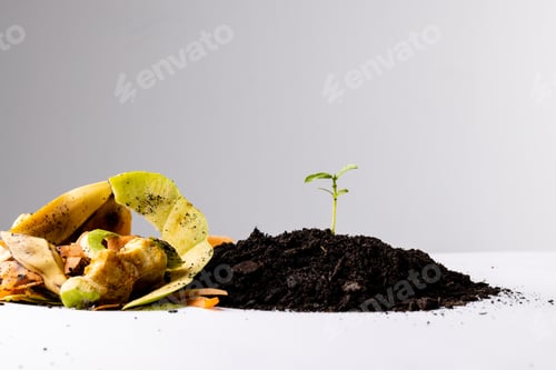 Preview: Organic fruit and vegetable waste for composting and seedling in dark soil, with copy space