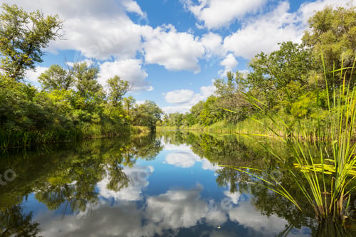 Preview: Summer river