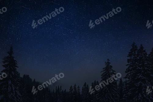 Preview: Night clear starry sky in a snowy forest on Christmas Eve