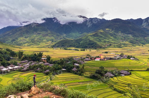 Preview: Traaveler take picture at Rice fields on terraced of Tu le District, YenBai province
