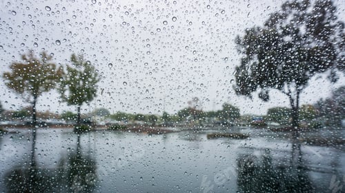 Preview: Drops of rain on the windshield; trees reflected in the wet pavement;