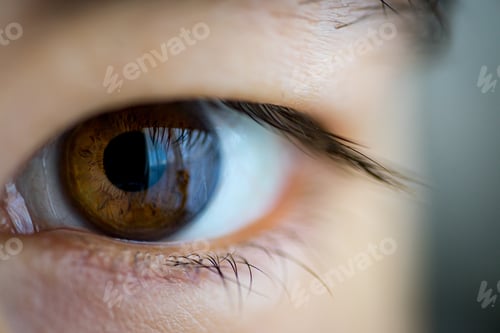 Preview: Closeup shot of a brown Asian folded hood eye