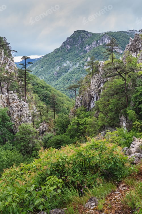 Preview: Tasnei Gorge