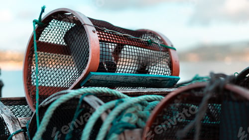 Preview: Cages close to each other with ropes all over them