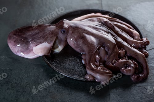 Preview: Whole fresh raw octopus on black plate. slate background
