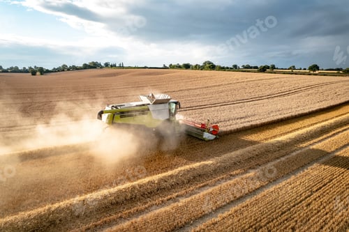 Preview: Farming in Summer