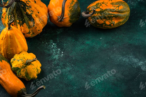 Preview: Various decorative pumpkin on green background