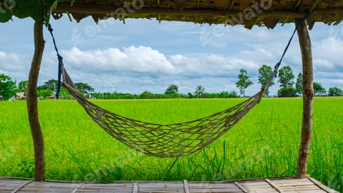 Preview: Hammock at an Eco farm homestay with a rice field in central Thailand, paddy field of rice