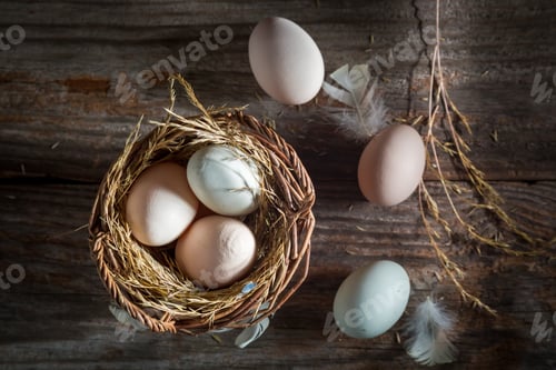 Preview: Fresh and ecological eggs from the henhouse