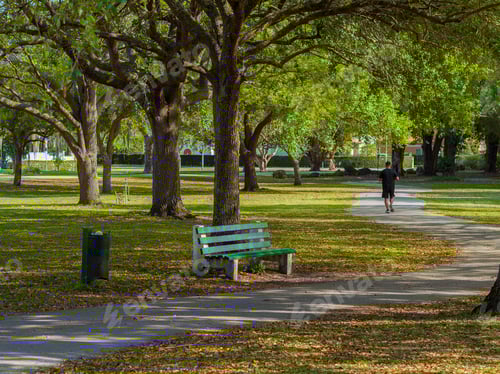 Preview: Scenic view of a lush park of Miami Springs Golf Course