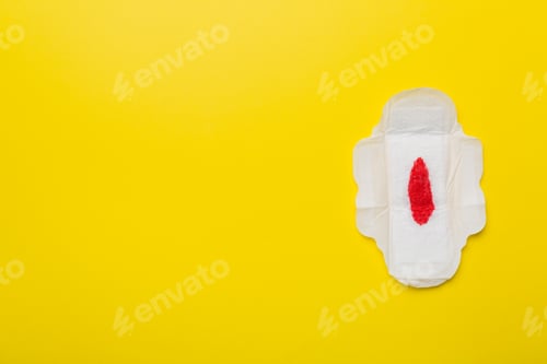 Preview: Women hygiene products or Sanitary pad with red feather on colored background.